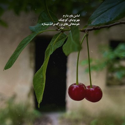 ابی تا آینه رفتم که بگیرم خبر از خود